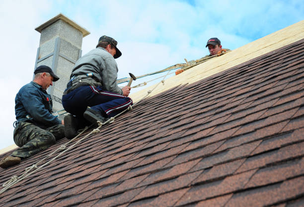 Roof Gutter Cleaning in Cross Roads, TX